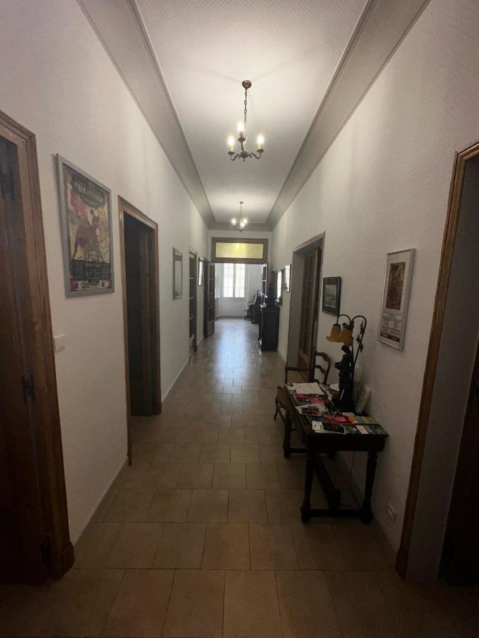 Appartement 4 A 8 Personnes, Spacieux De Standing Classe 4 Etoiles ニーム エクステリア 写真